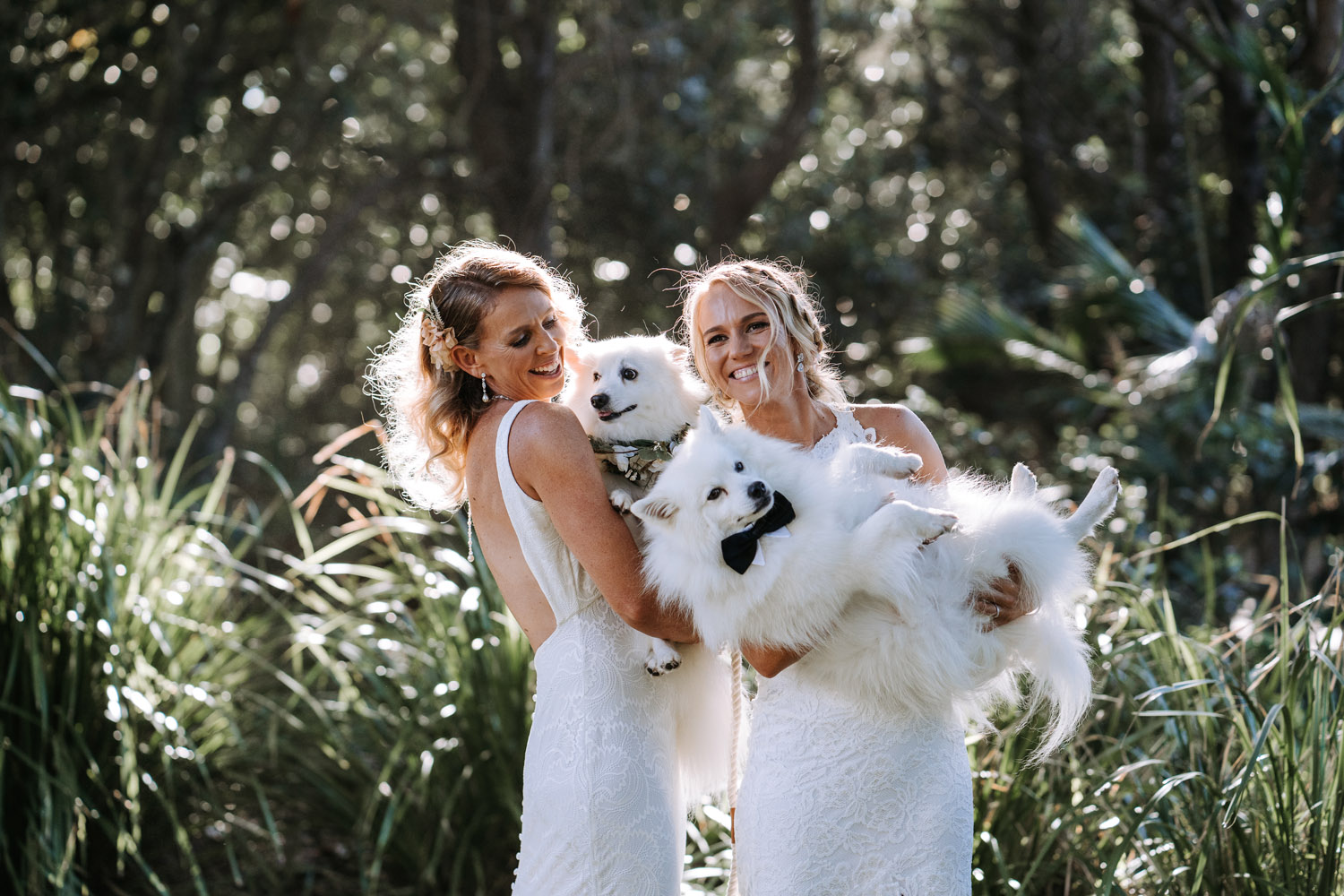 a celebration of Claire and Tamara's Noosa wedding on the Sunshine Coast